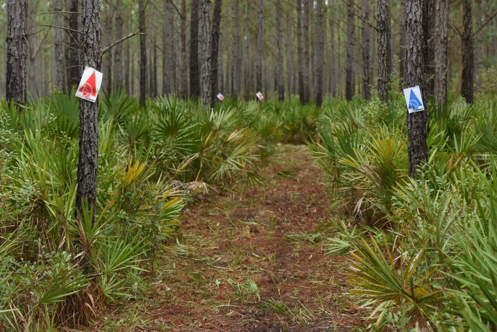 The start of the 2016 season will be here before we know it. Who's ready to get back into the woods?!