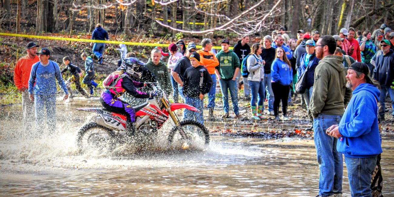 Tuesday Toolbox: Allie and Mike Bradshaw