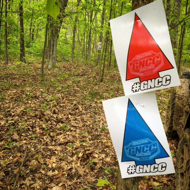 The woods seem to be shaping up nicely for this year's Limestone 100 in Indiana. Photo: Jared Bolton