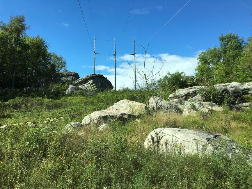 This powerline section was one of the more popular spectator areas of the Blackwater racecourse.