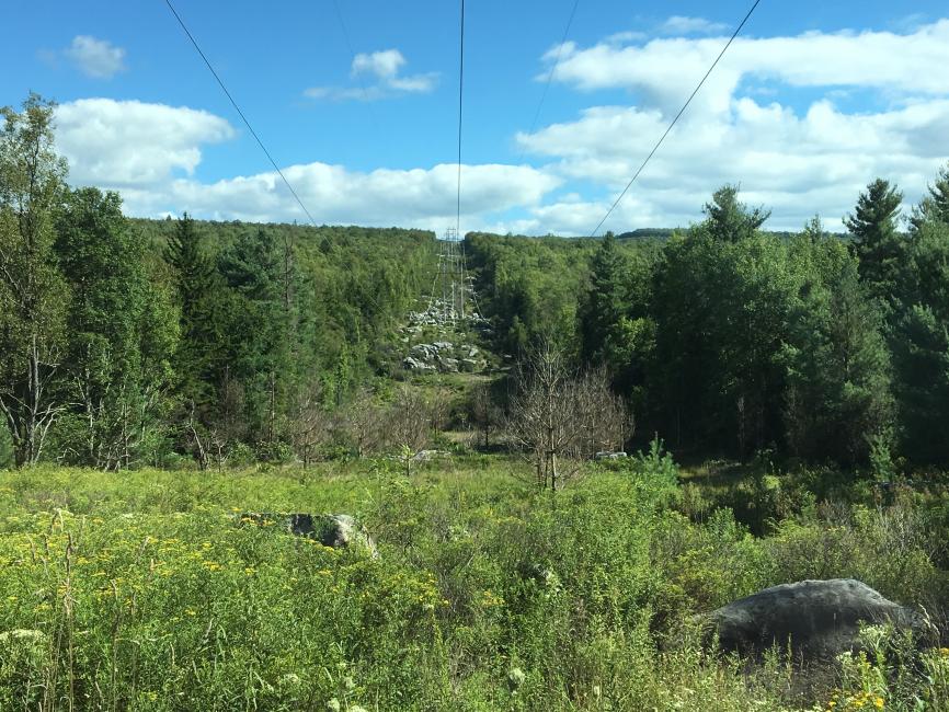 And here's the view out the other side of the powerline. The Blackwater River is in the bottom of this valley and was one of the toughest river crossings of the entire course.