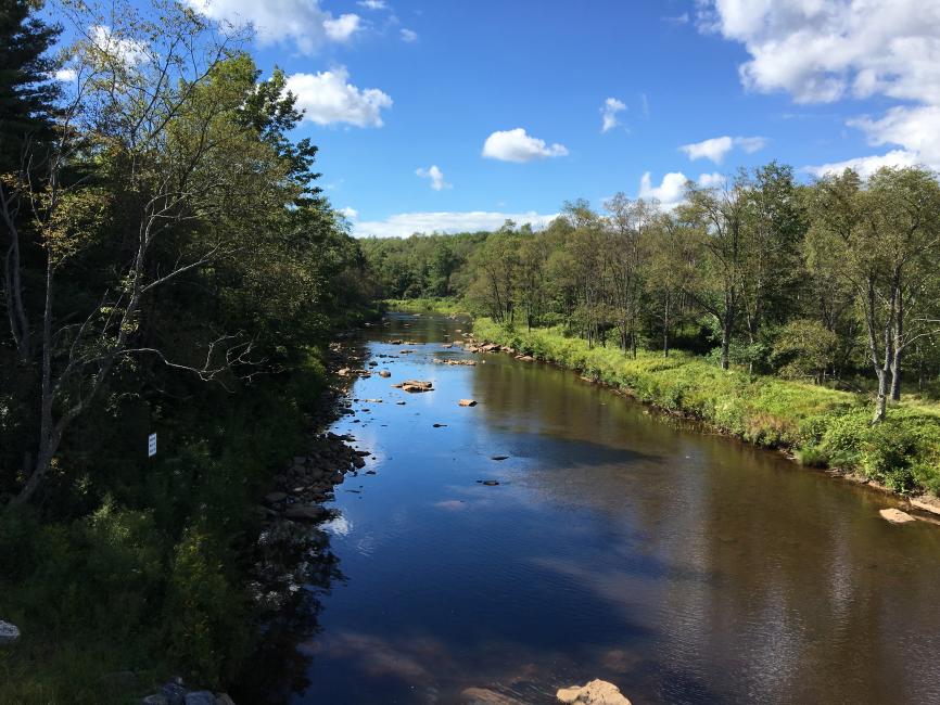 Notice the amber color of the water. That is a result of bimolecules known as tannins from decaying leaves straining themselves into the water and that Earth science lesson is where the Blackwater River name originates!  