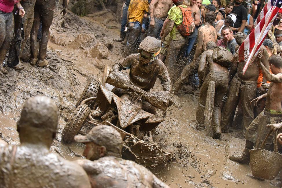 The No. 733 of Cole Richardson sits fifth in the championship standings in his rookie season. Photo: Ken Hill
