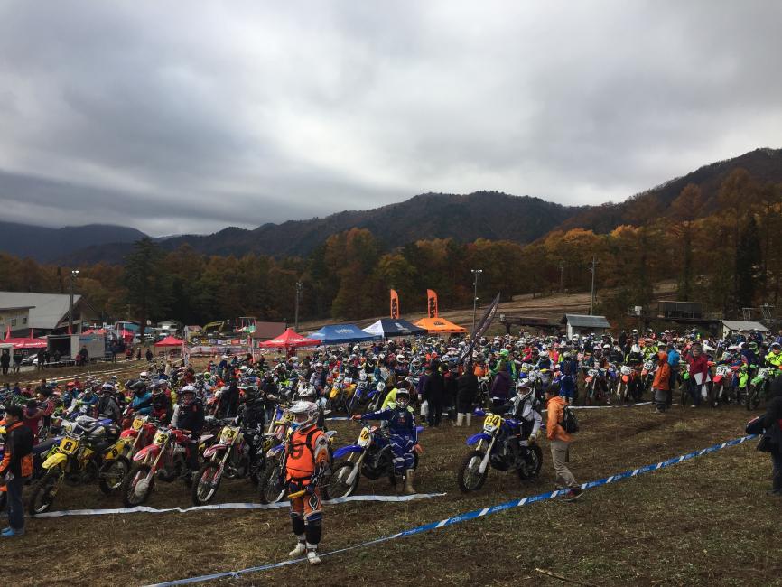 The start of the JNCC version of our 10 a.m. race!