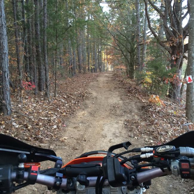 Fast trails, tight trails, grass track, motocross... This weekend's Zoo City GP has all that and more!