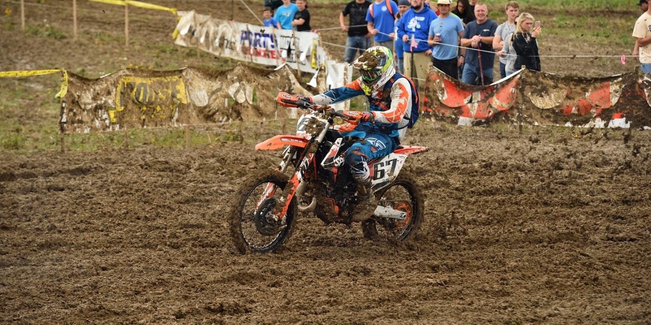 Tuesday Toolbox: David Quillen