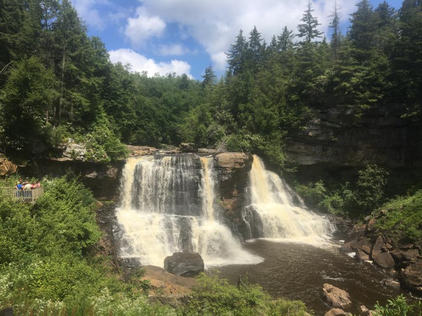 Blackwater Falls State Park is one of the big attractions to Davis, WV these days!