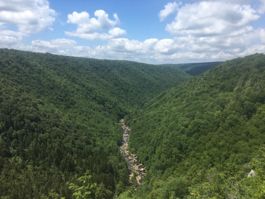 The Blackwater Canyon is a great sight!
