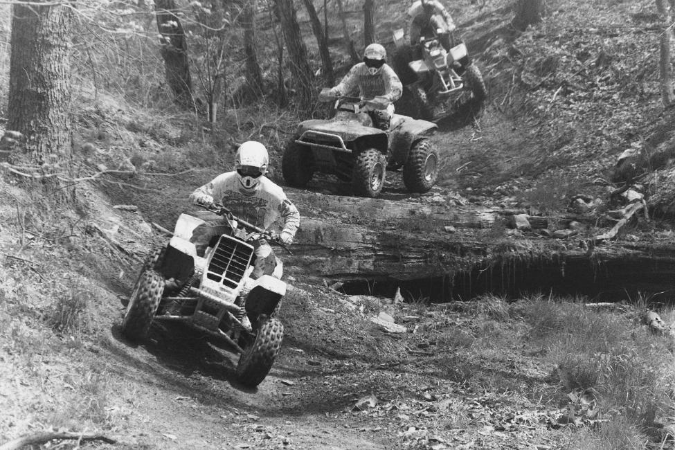 Now this just looks like fun!