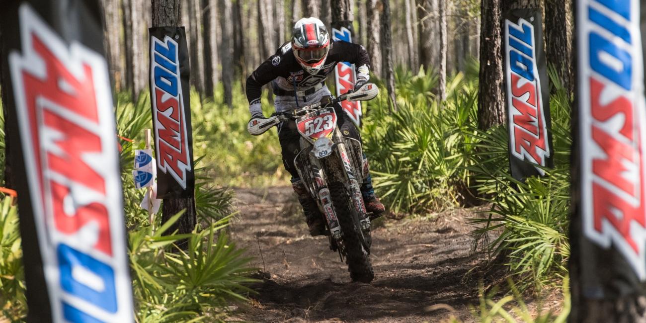 Photo Gallery: Wild Boar Afternoon Bikes