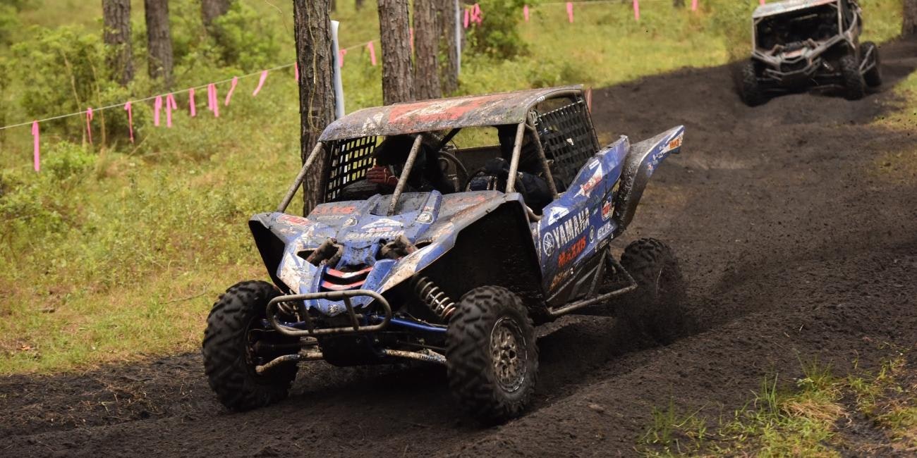 Wild Boar Yamaha Rewind