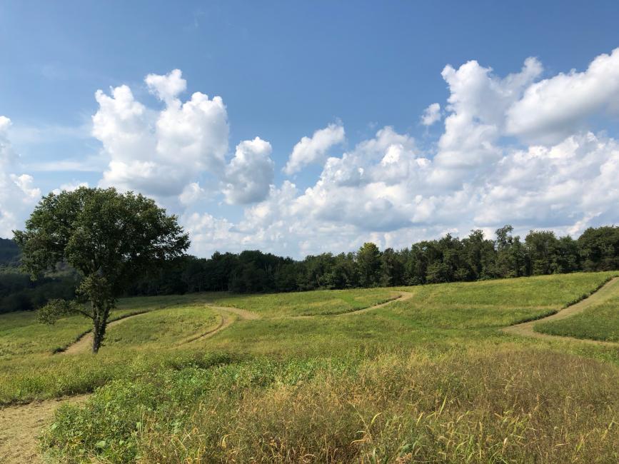 Check out some of the grass track for this weekend's Moto-X Country at the 28th Annual DC Vet Homecoming!