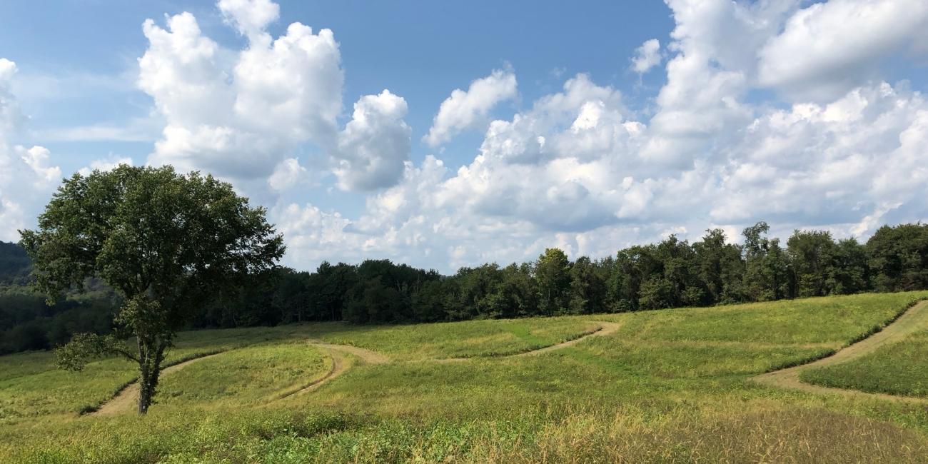 Quick Fill #34: This Week in GNCC