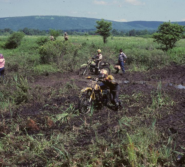 The bogs at Blackwater seemed endless. A pro tip on sections like this: see those small trees and large bushes? They've got some sort of root system and those roots should help make for a little sturdier ground.