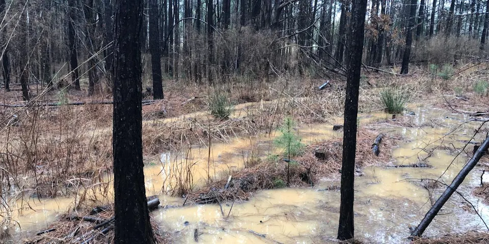 Competition Bulletin 2019-5: GNCC Season Opener Postponed Big Buck to be Rescheduled