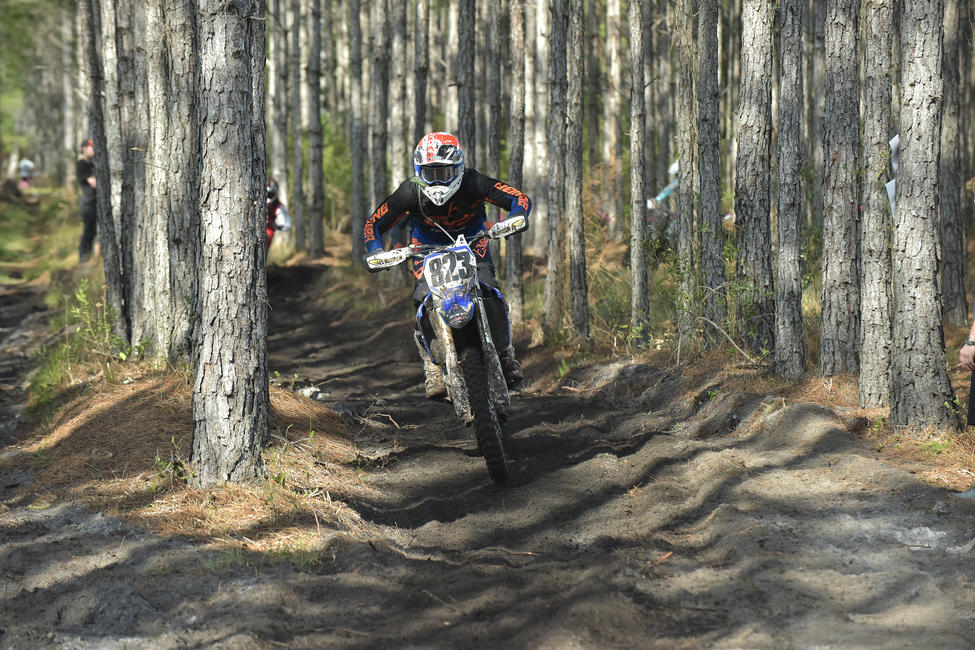 Brown is planning to race Big Buck and Wild Boar in 2020.