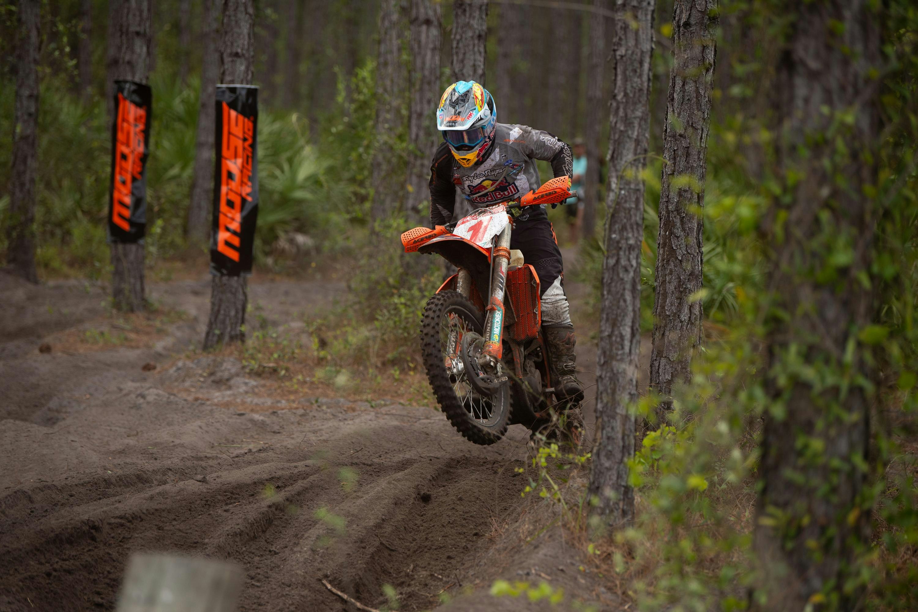 Photo Gallery: Wild Boar Afternoon Bikes