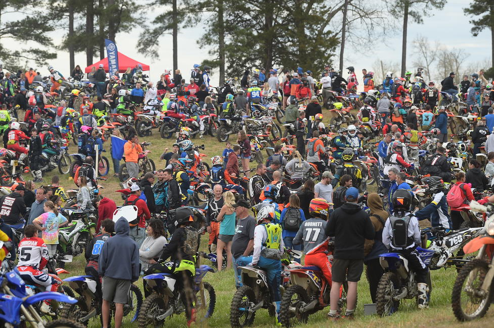 Yes, we're ready to see this again too...