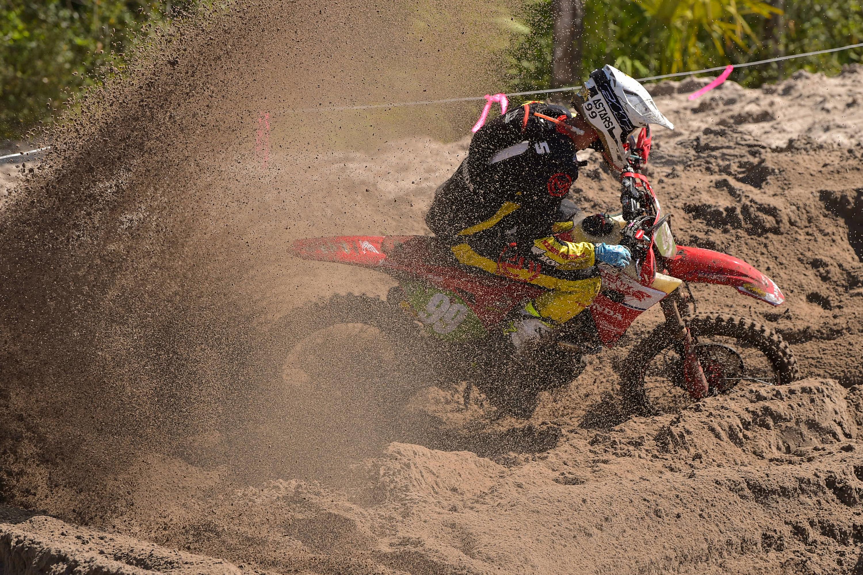 Photo Gallery: Wild Boar Afternoon Bikes