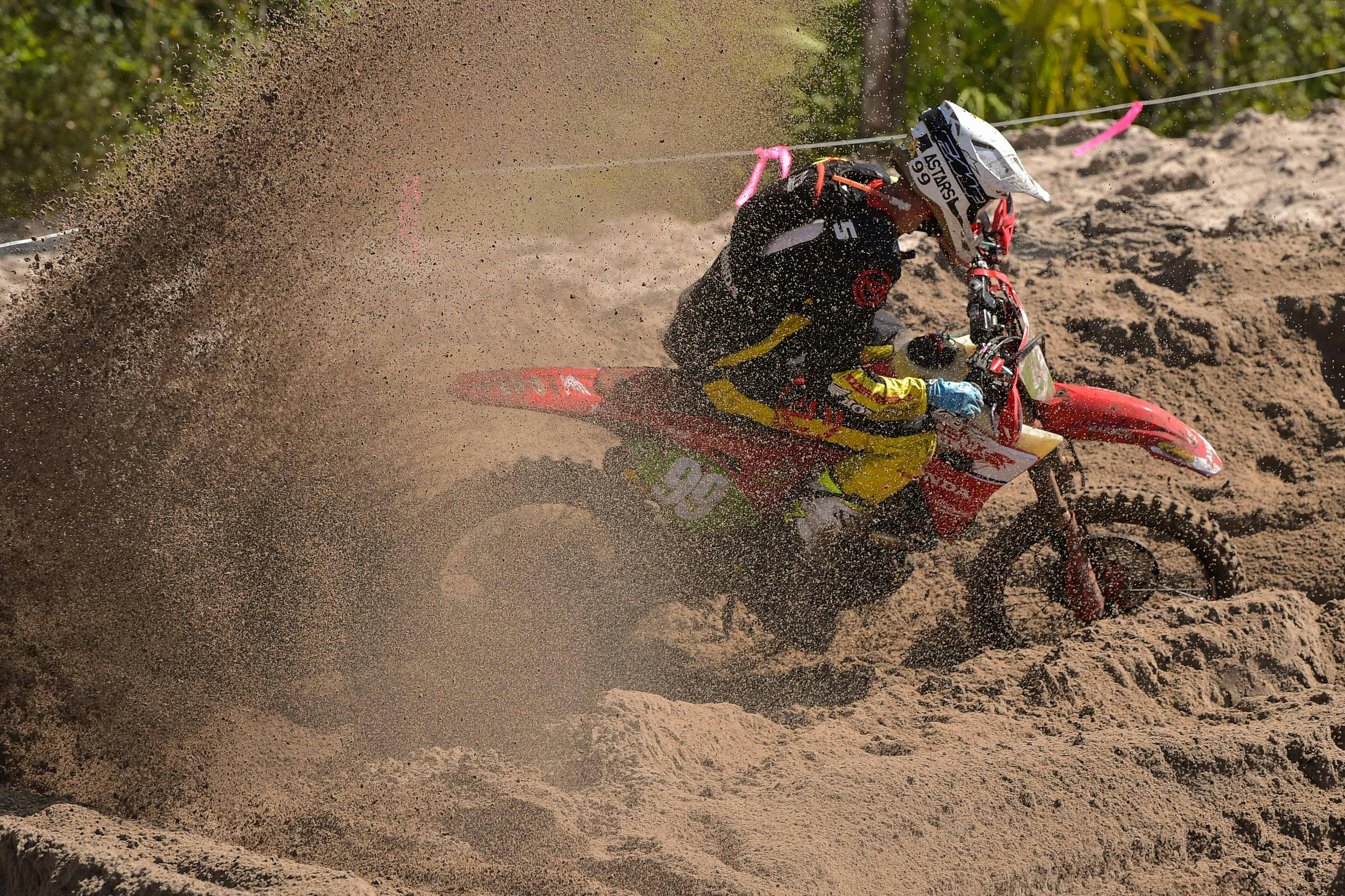 Photo Gallery: Wild Boar Afternoon Bikes