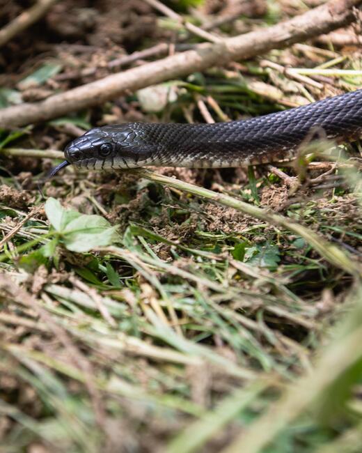 untitled_shoot-002-1