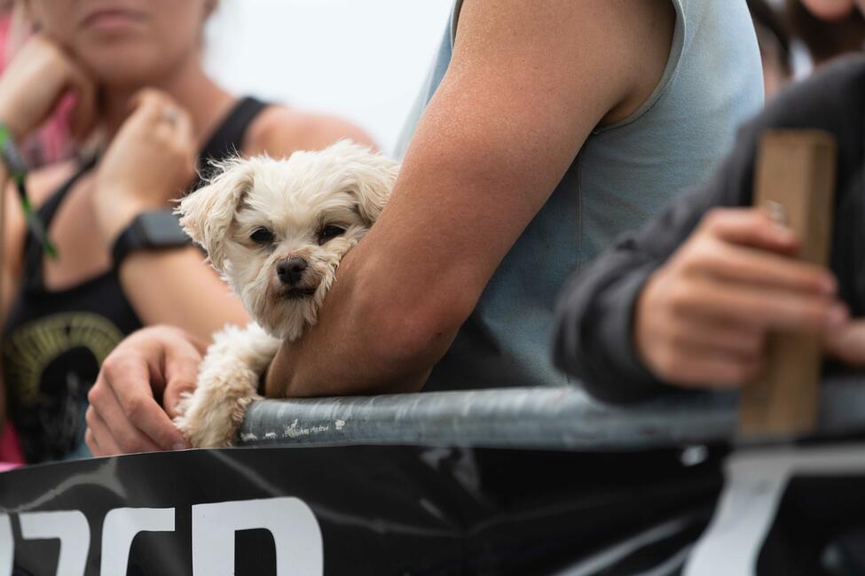 untitled_shoot-093-17