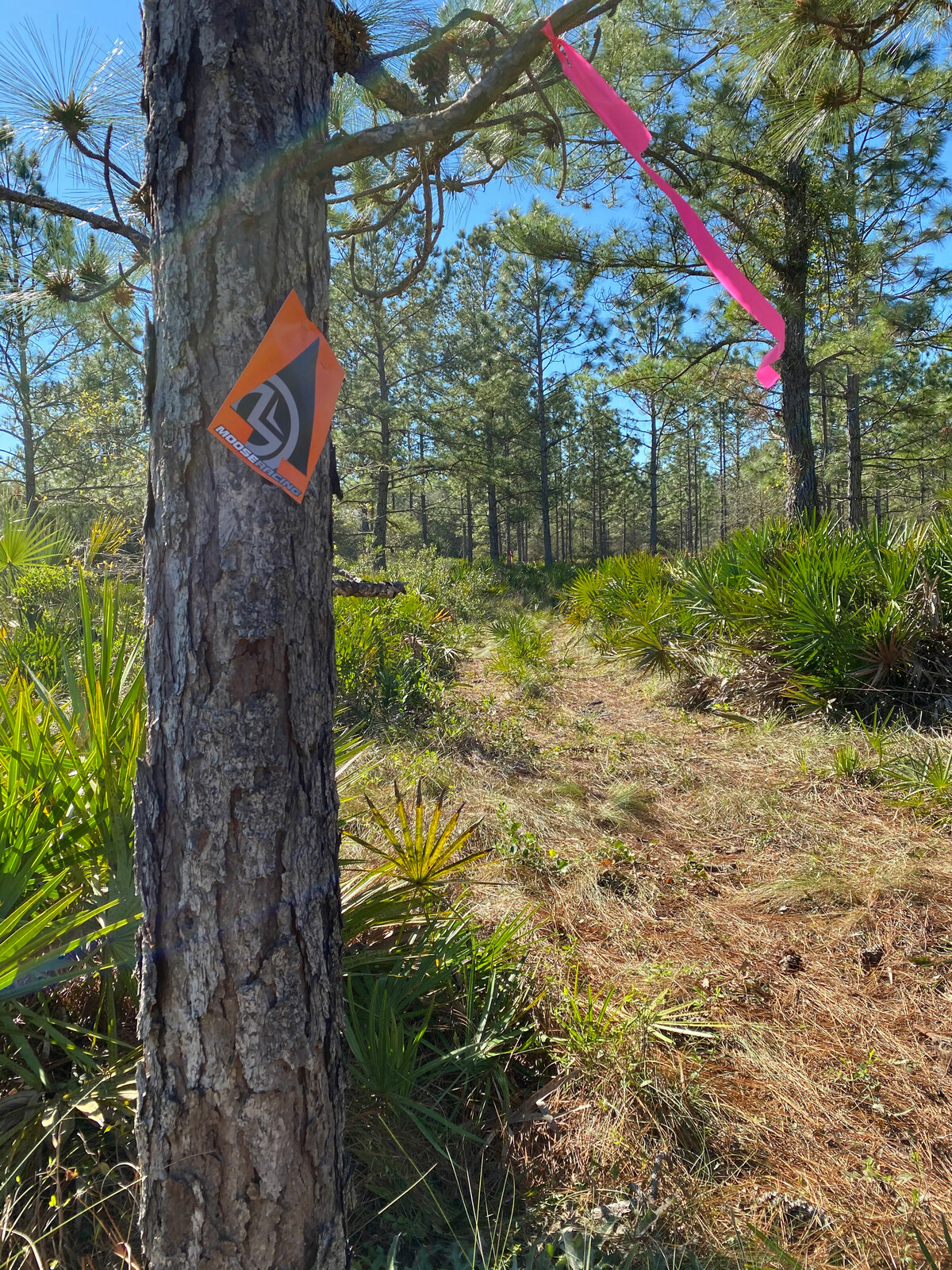 Who is ready to get back to this?