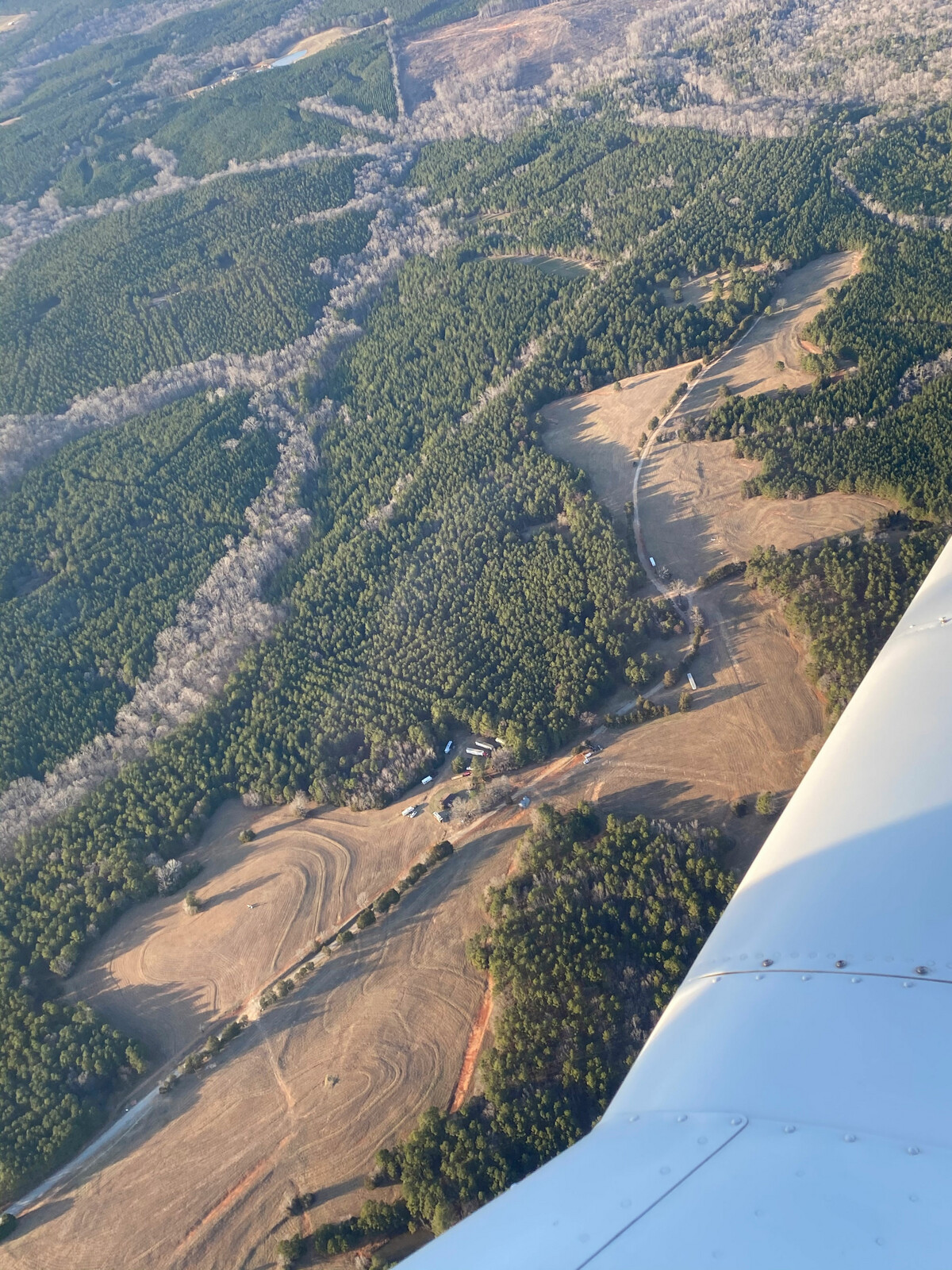 Bird's eye view of Big Buck on Tuesday afternoon...