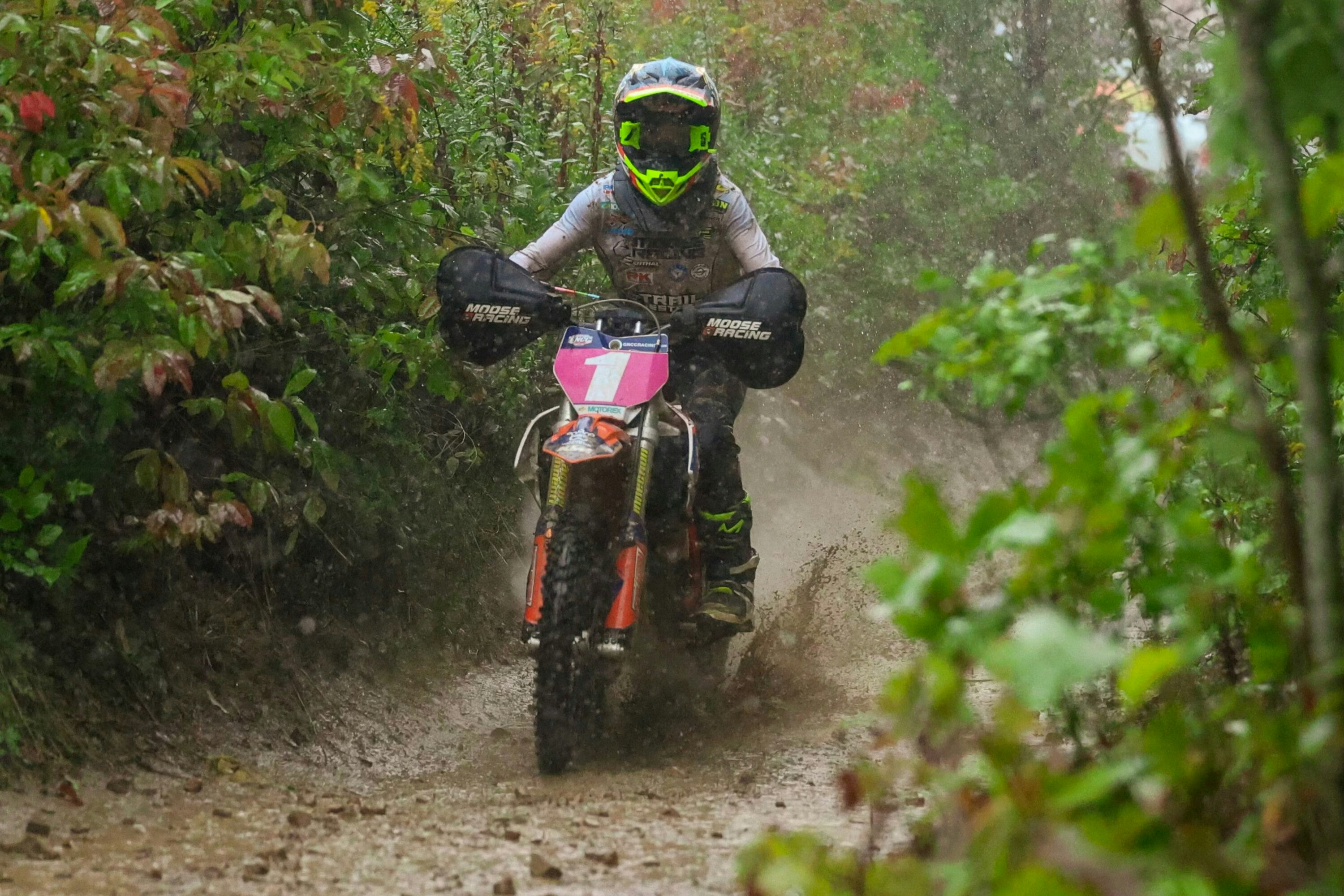 Women's Wednesday: On the Rise with Addison Harris