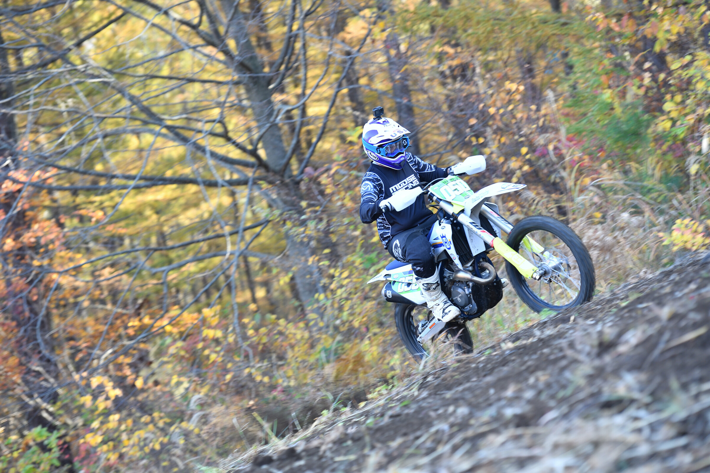 53319574823_637b496aa5_5k