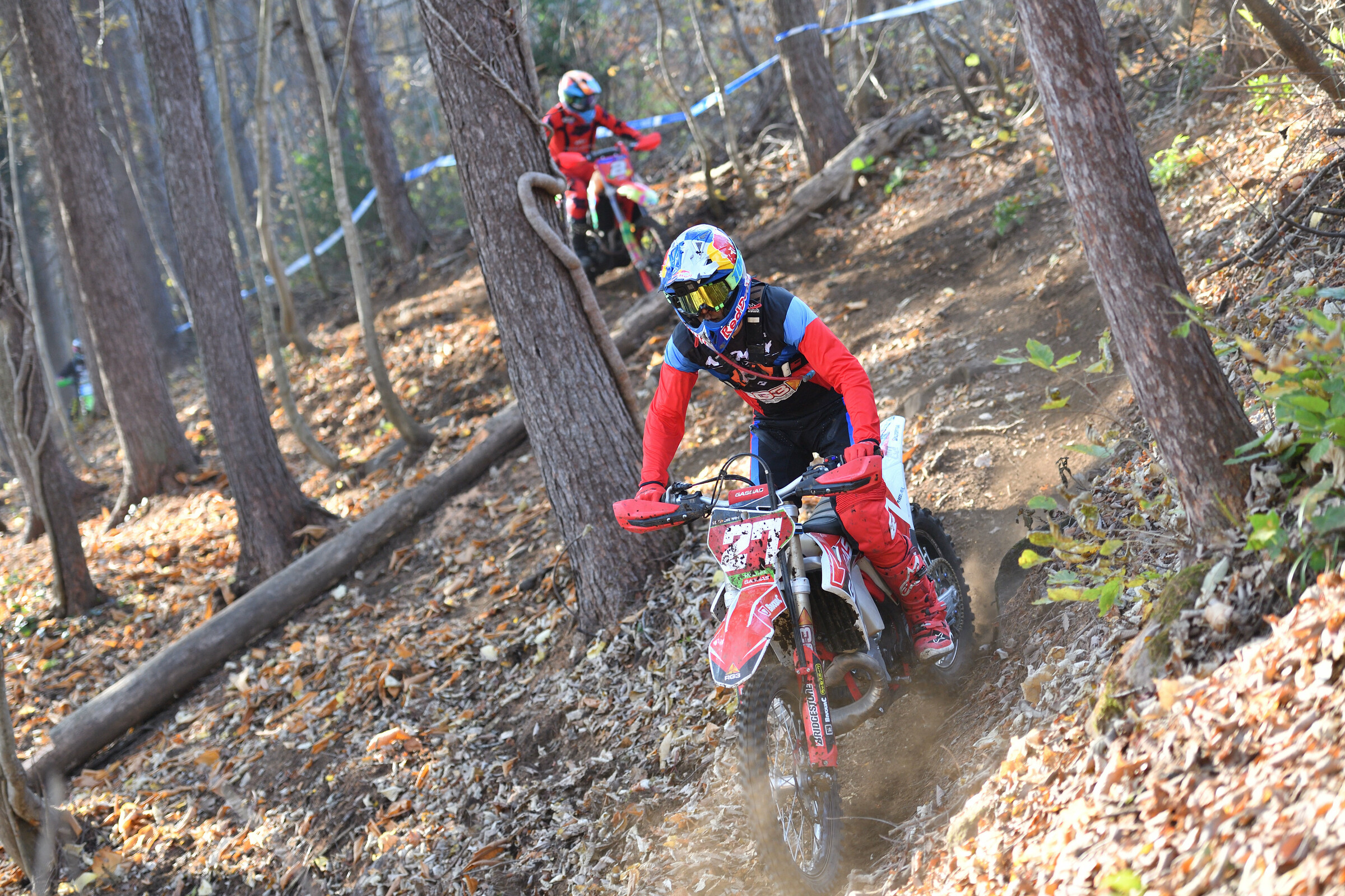 53318808112_19776d6e16_5k