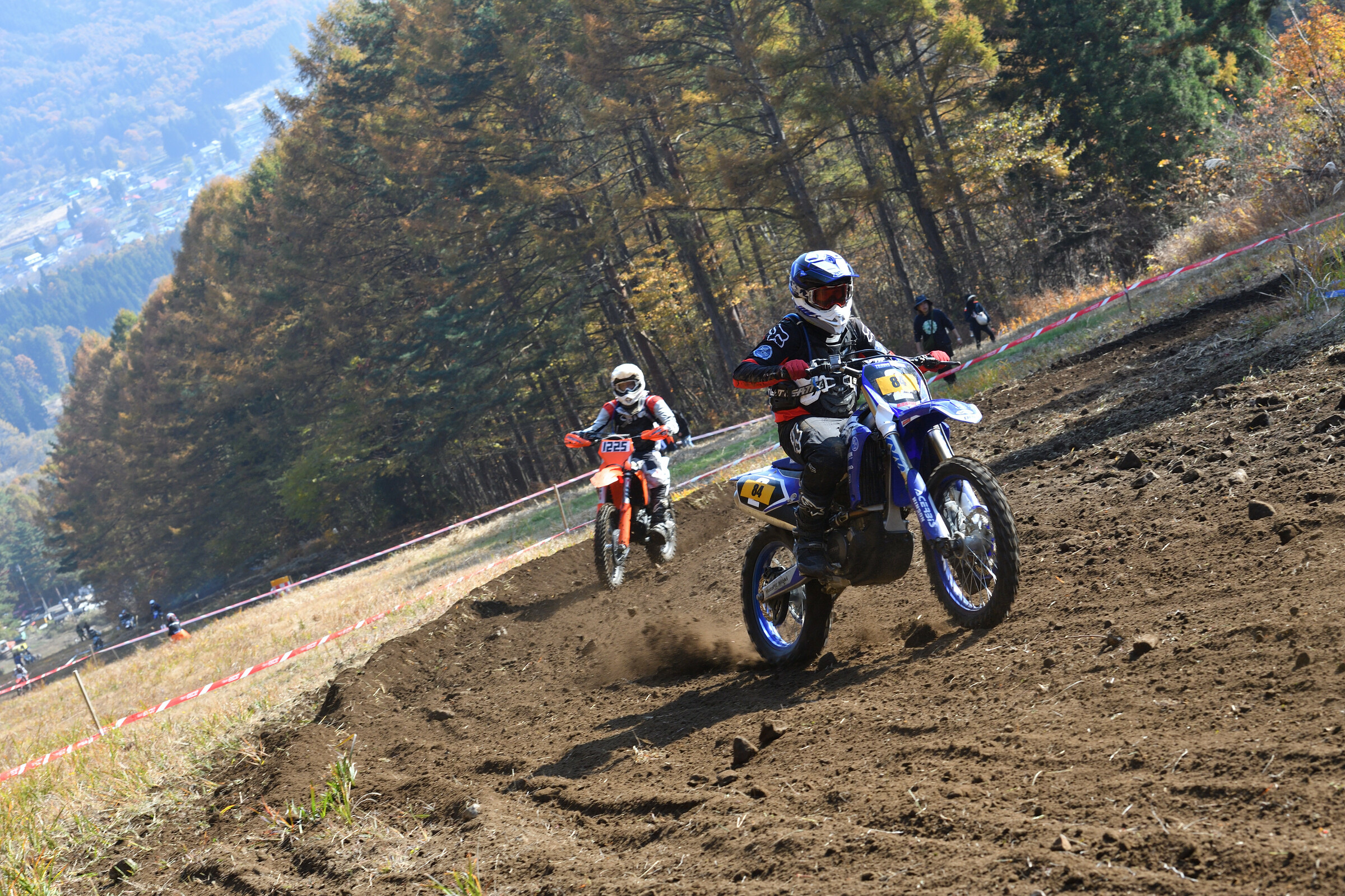 53319822565_70f635a2c0_5k