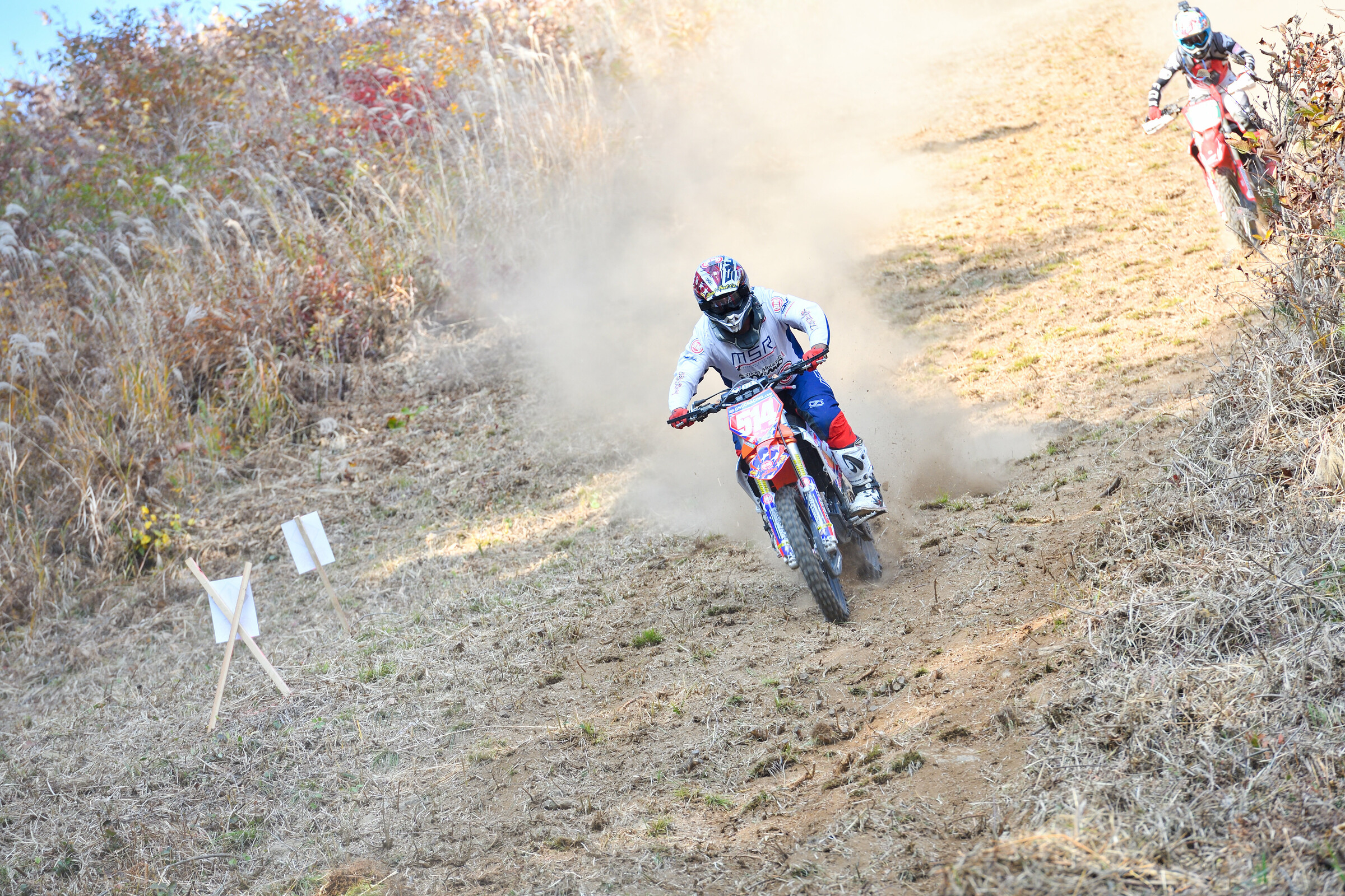 53319668921_0b96b32e2f_5k