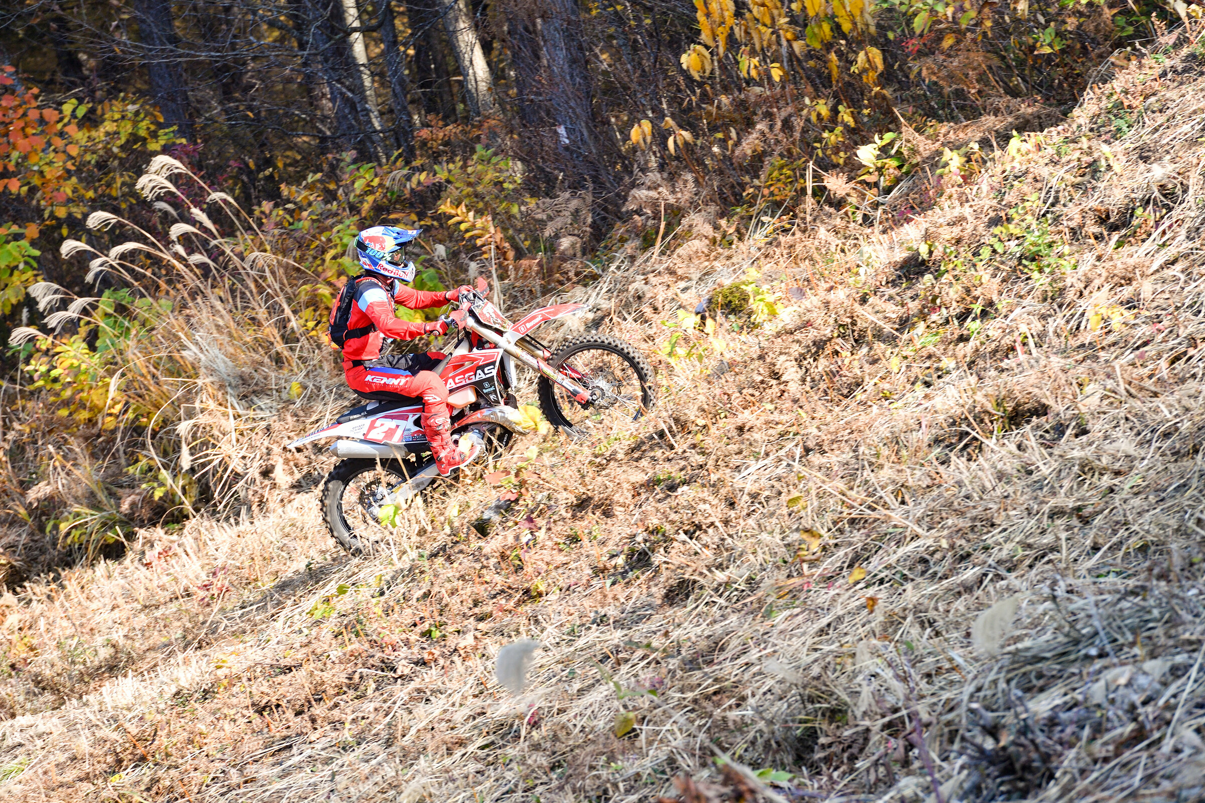 53319918768_77c2c645e9_5k