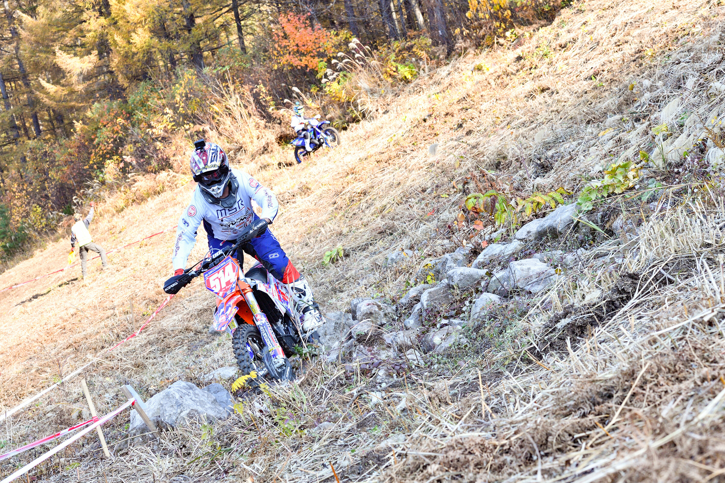 53319918988_7bd2d0d988_5k