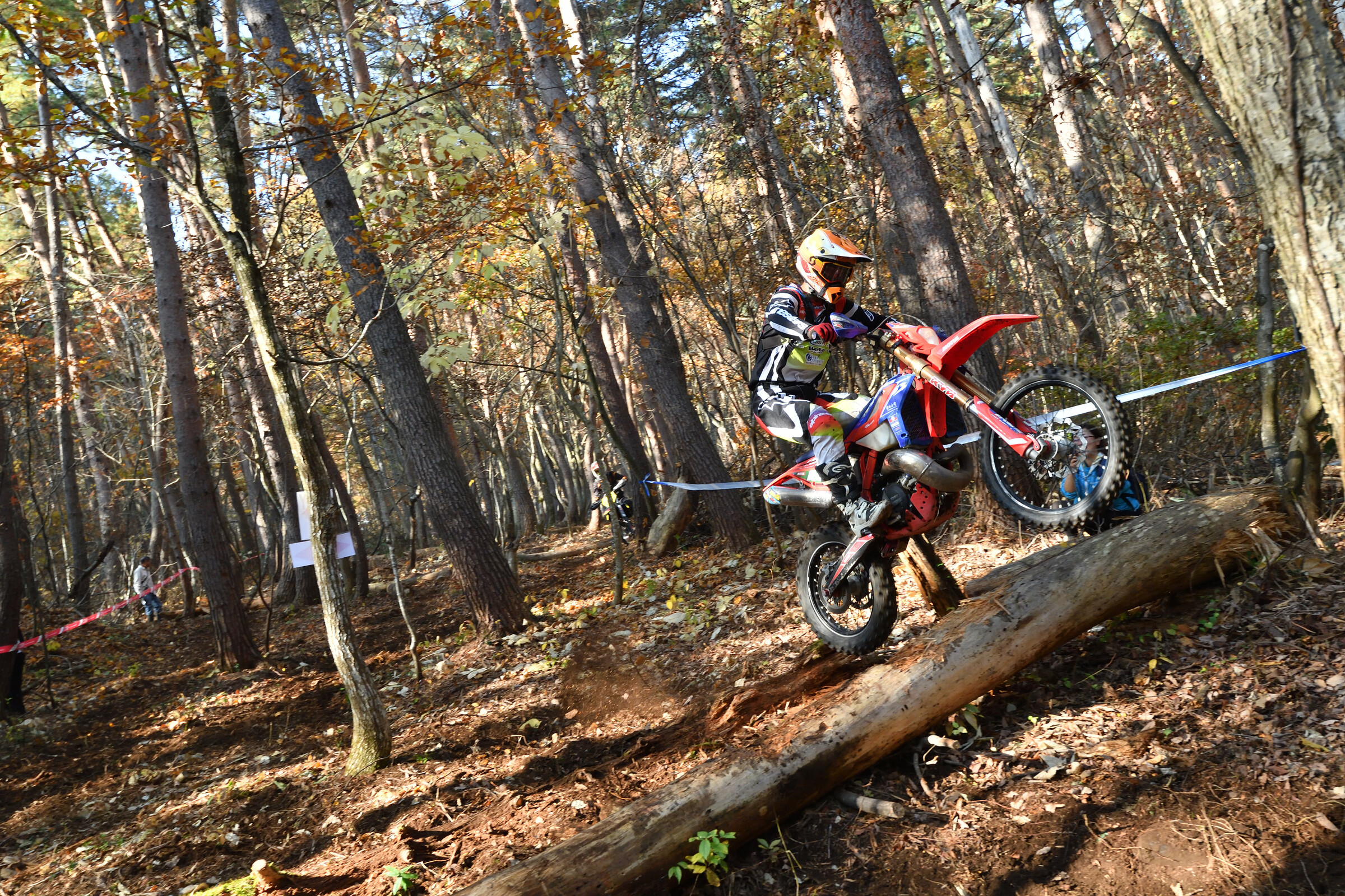 53318807242_492789e8c3_5k