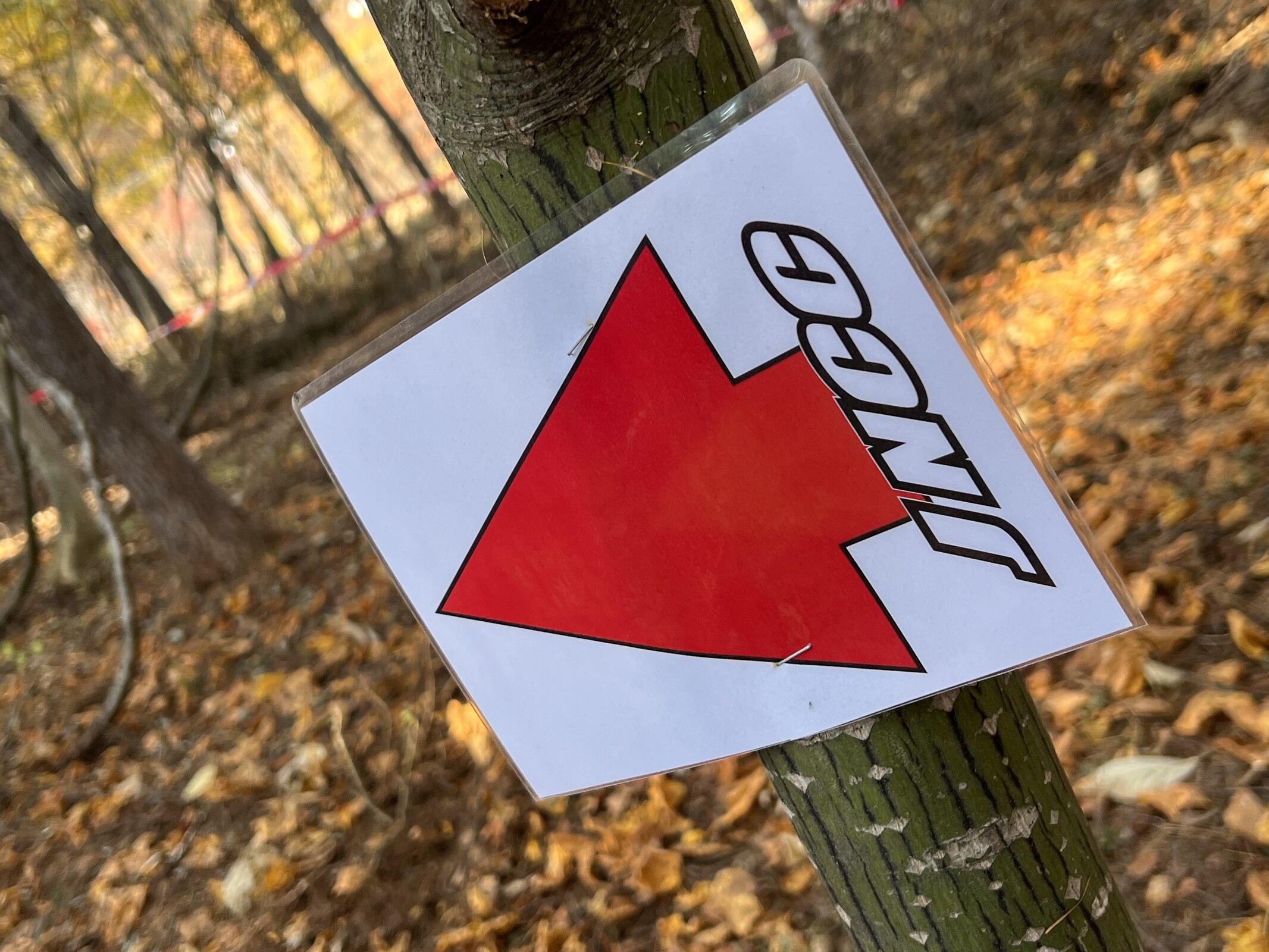 Photo Nov 05 2023, 1 24 26 PM