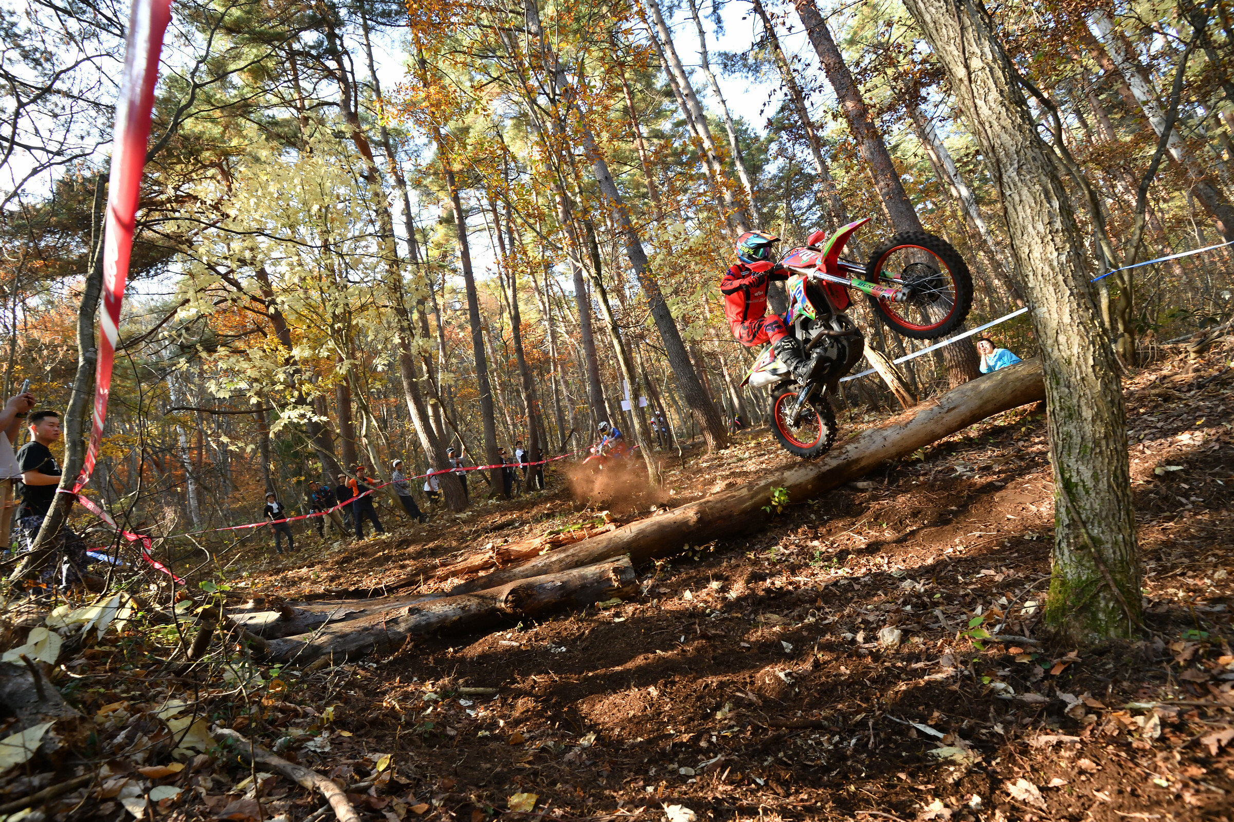 53320144865_9e966ab058_5k