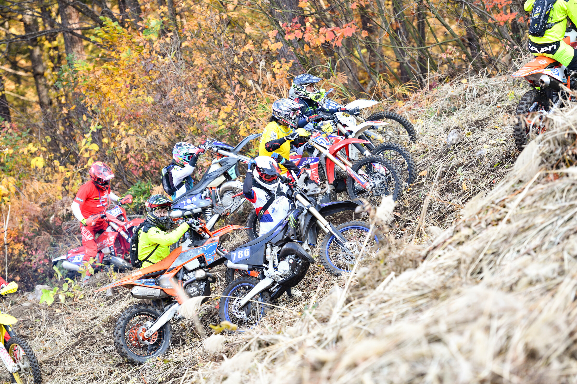 53320147860_776b37d12b_5k