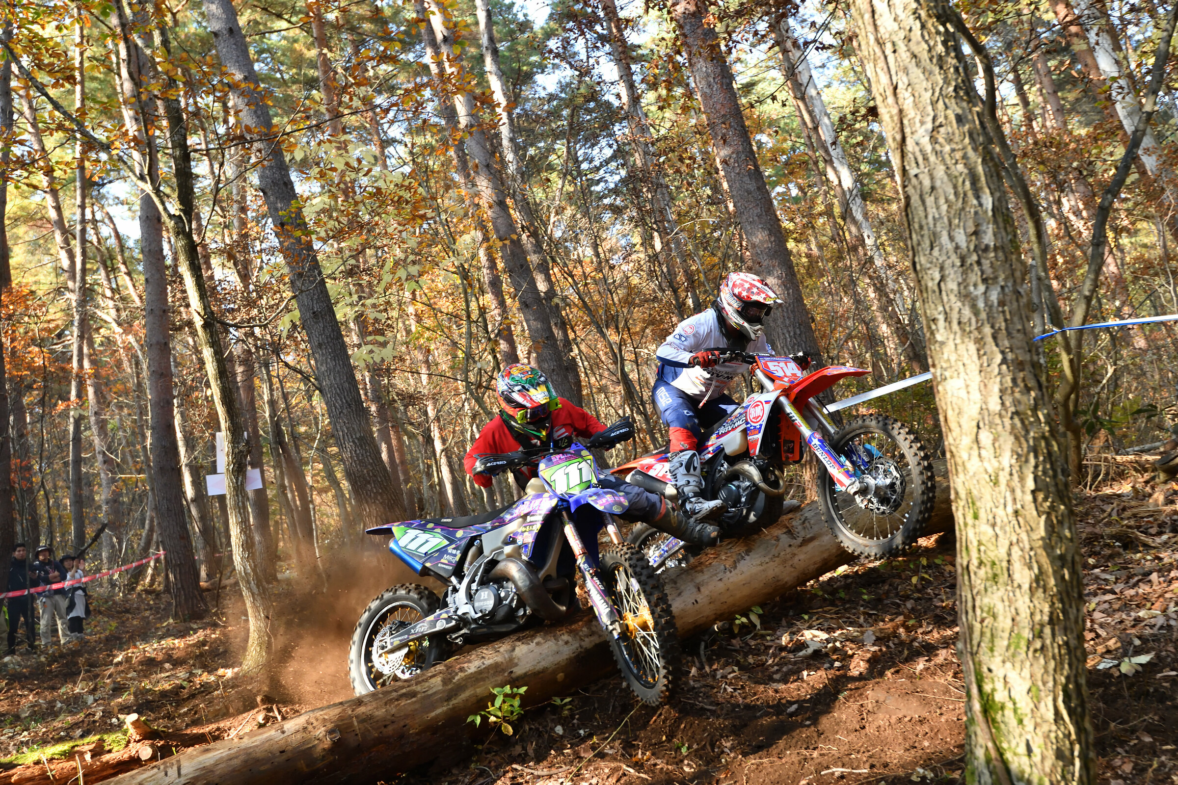 53320026089_a355c0e10f_5k