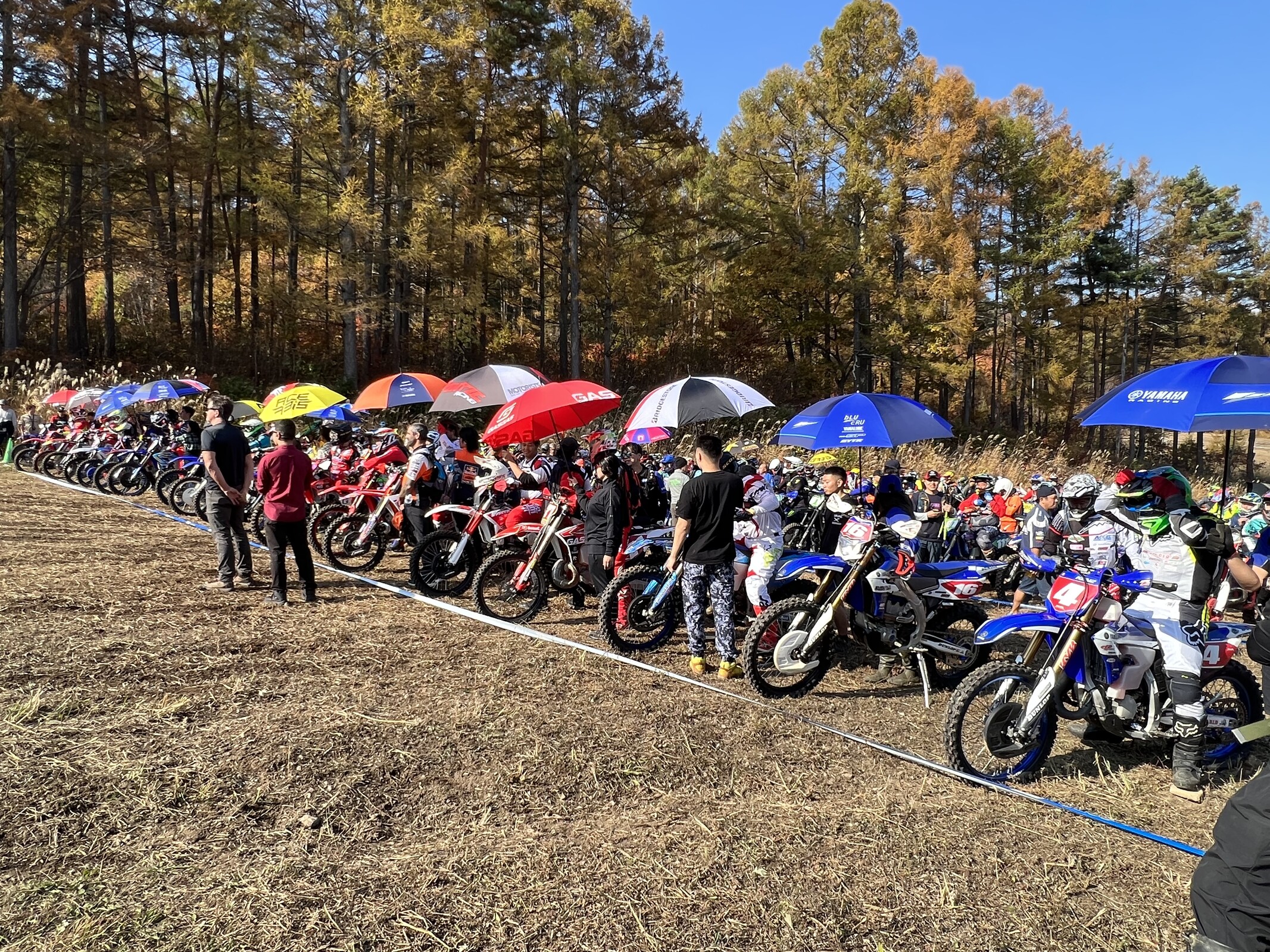 Photo Nov 05 2023, 12 46 13 PM