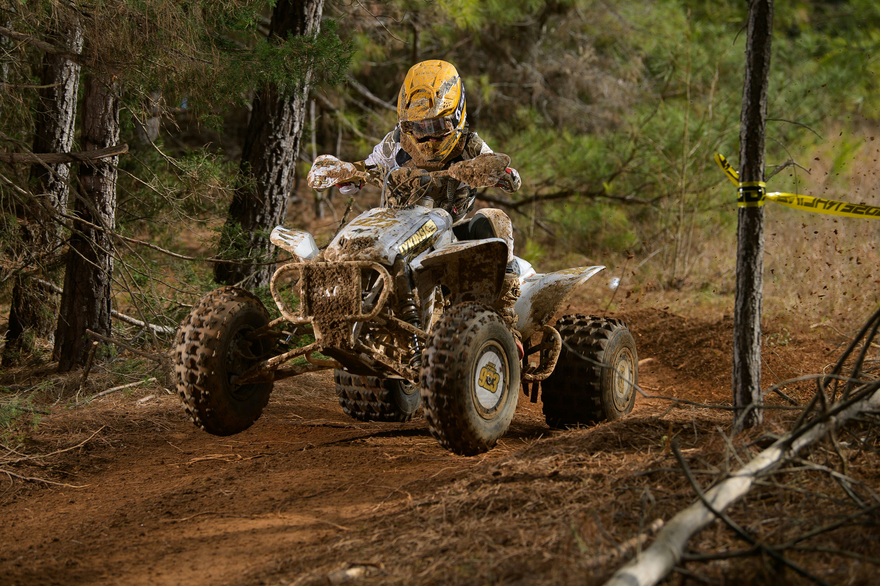 Tuesday Toolbox: Cole Lykins