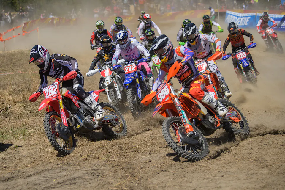 Tuesday Toolbox: Dante Oliveira