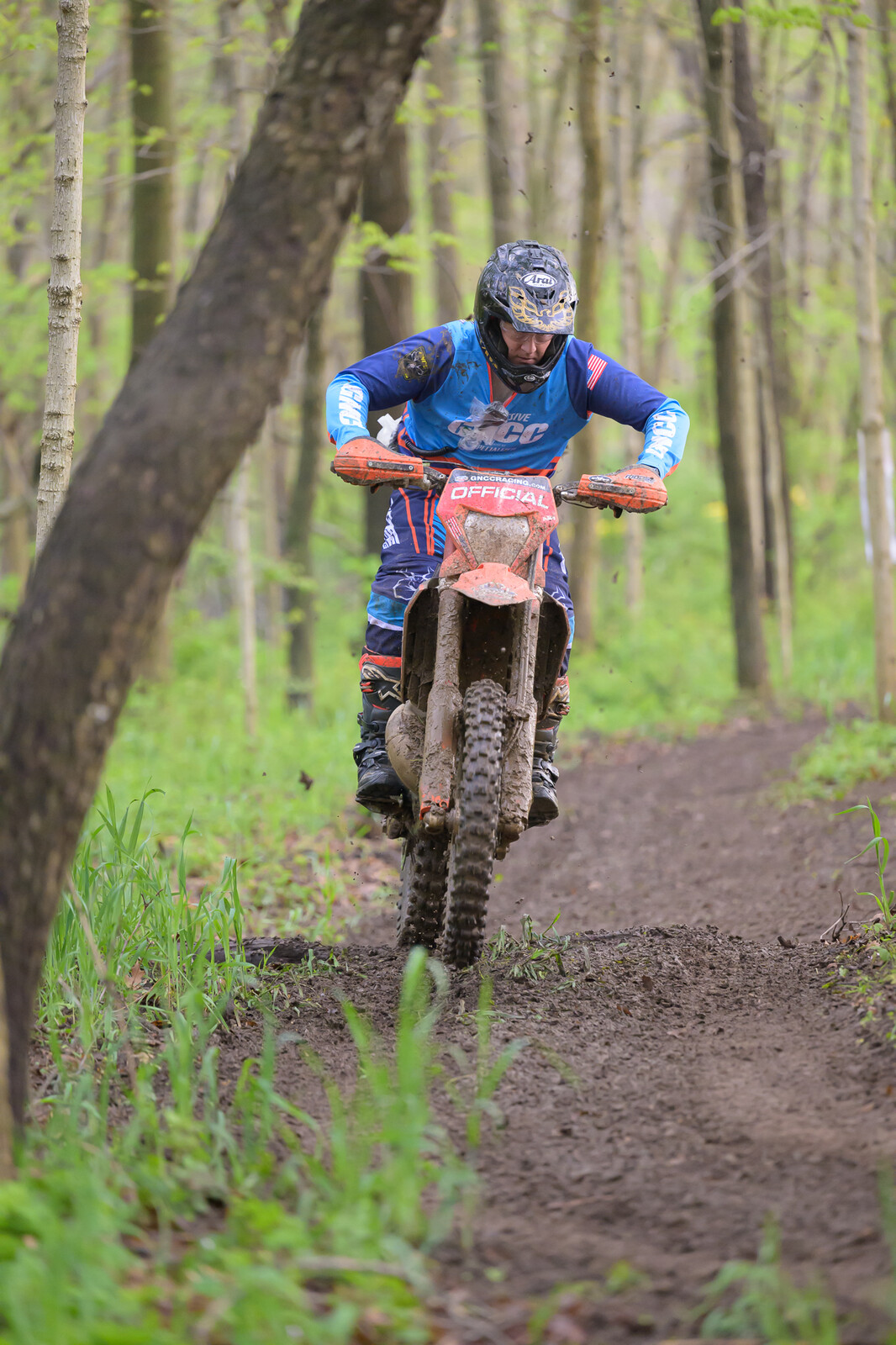 untitledHoosierSAT16