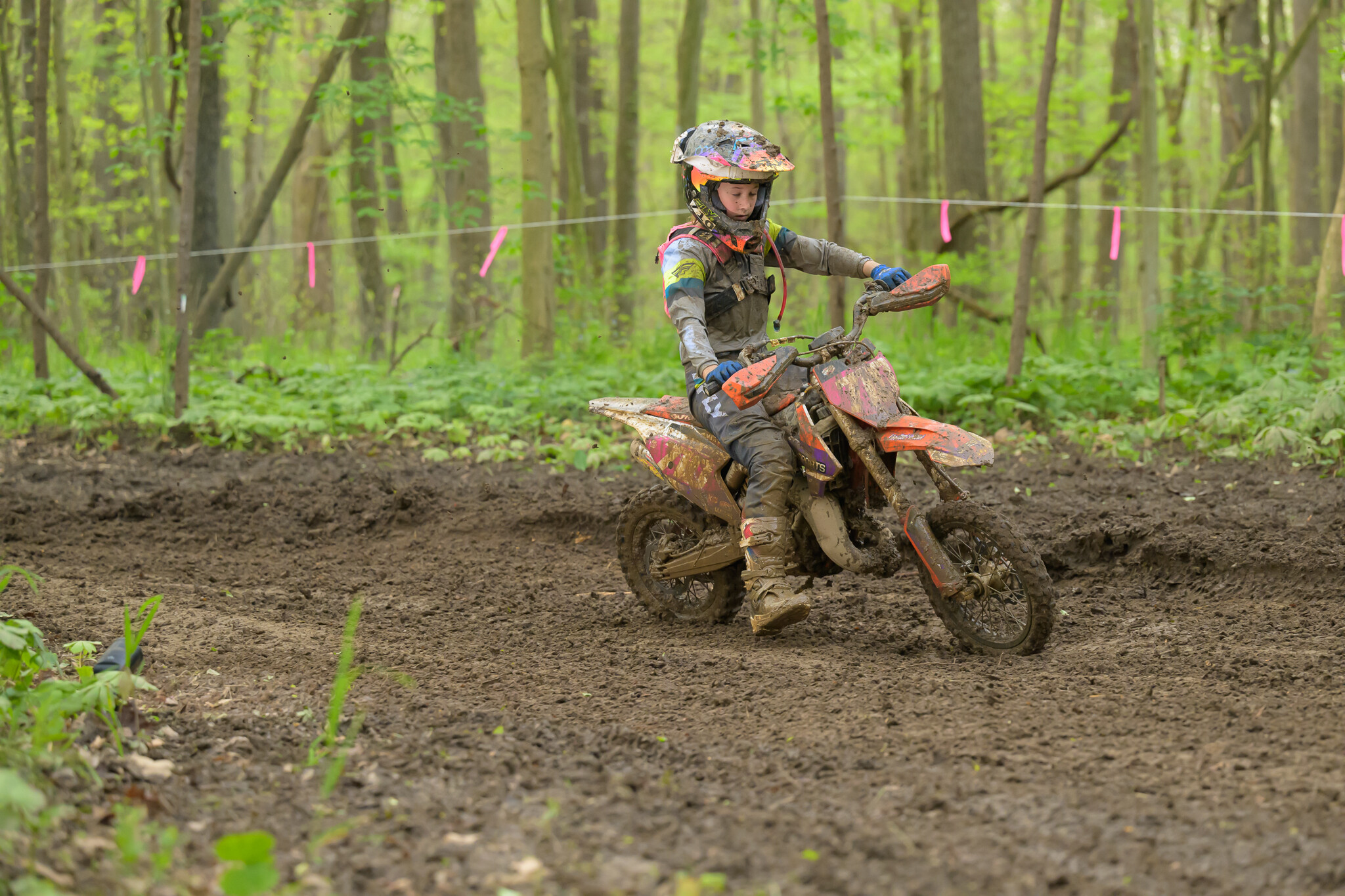 untitledHoosierSUN50