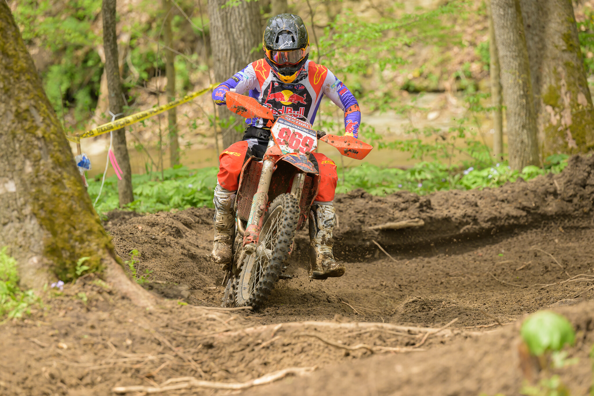 untitledHoosierSUN84