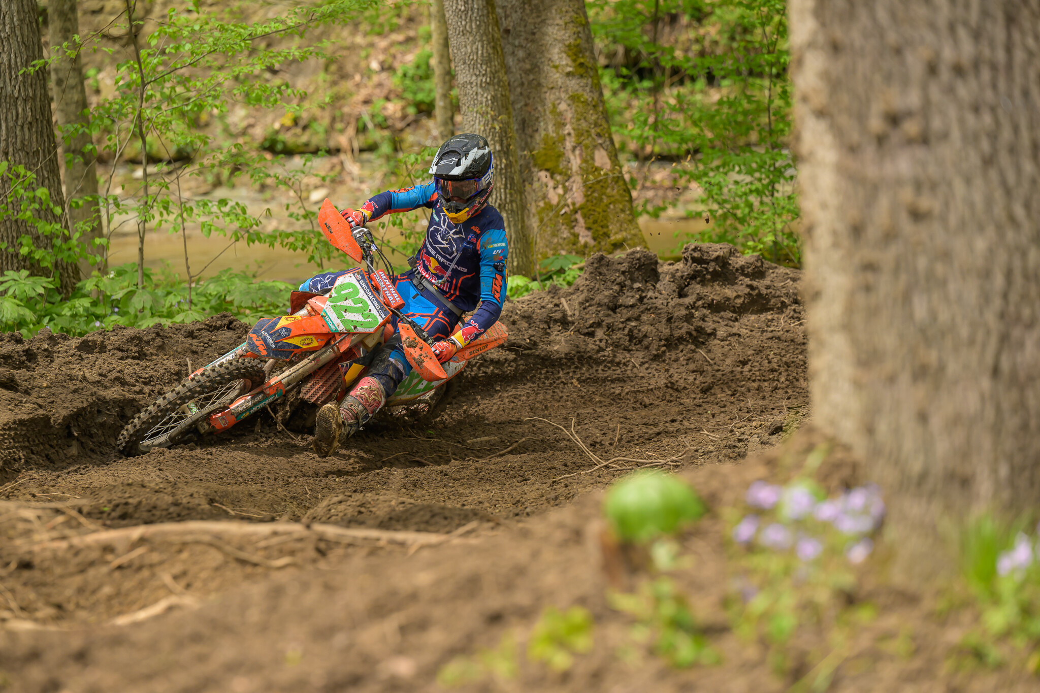 untitledHoosierSUN99