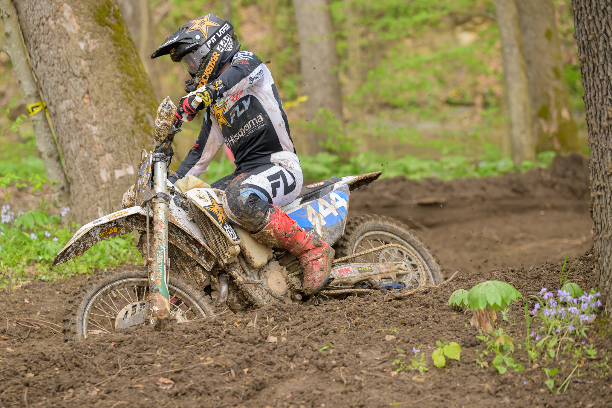 untitledHoosierSUN75