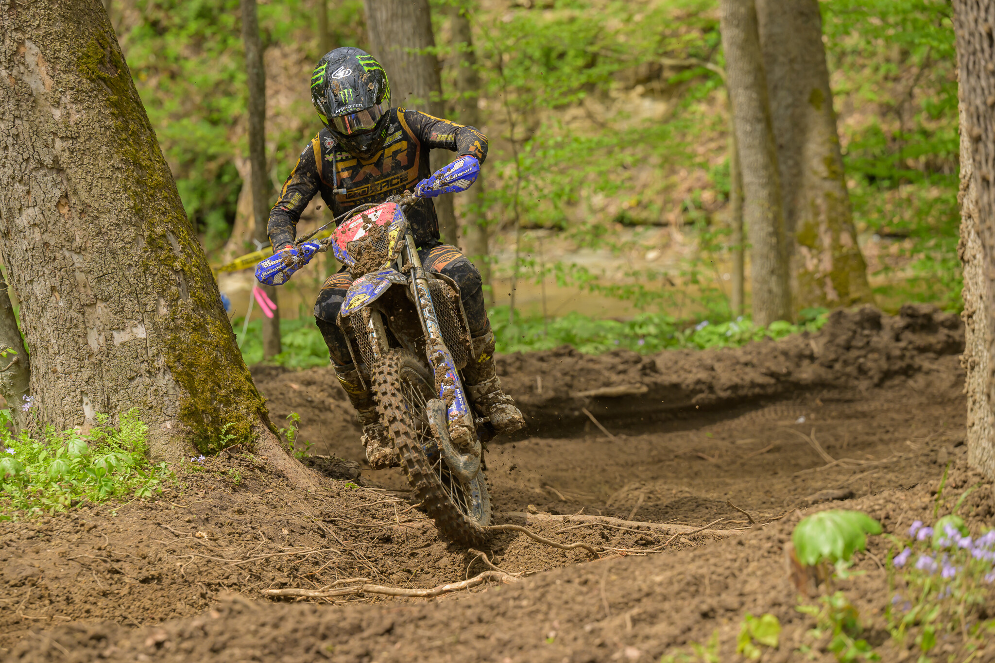 untitledHoosierSUN98