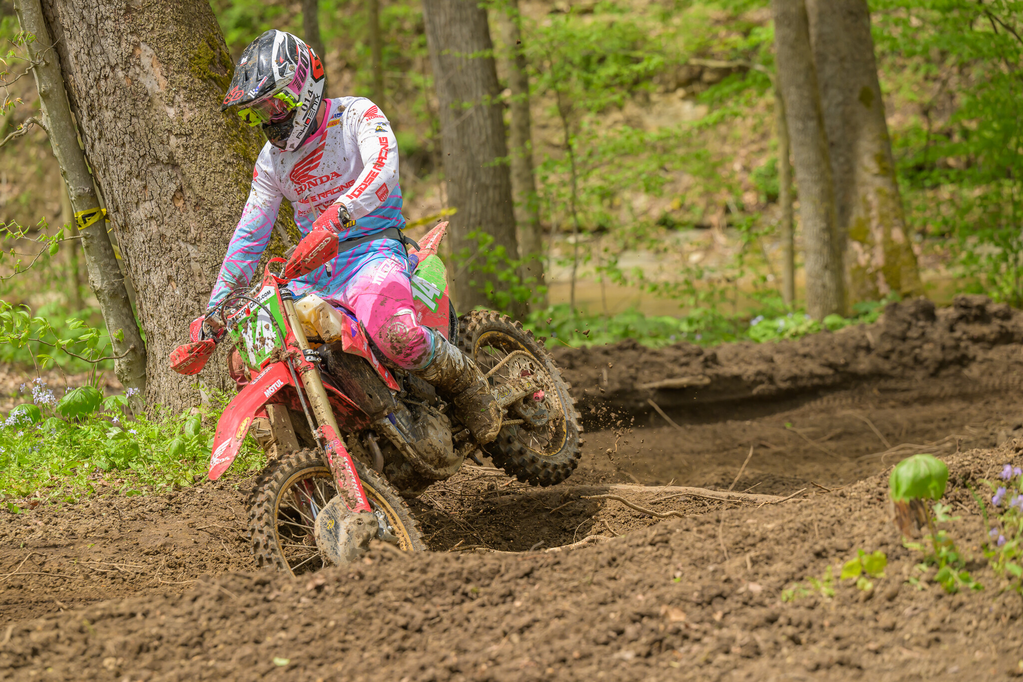 untitledHoosierSUN102HoosierSUN2